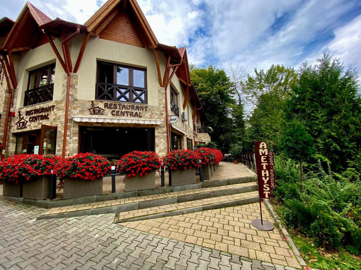 Amethyst Bed and Breakfast Sovata Εξωτερικό φωτογραφία